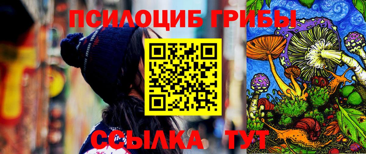 Псилоцибиновые грибы Cubensis  Вход с VPN  Нефтекумск 