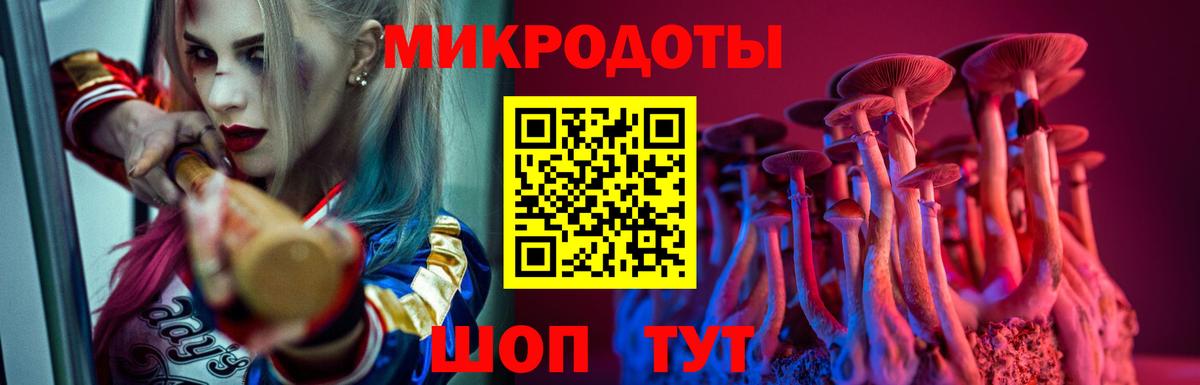 Галлюциногенные грибы Psilocybe Нефтекумск